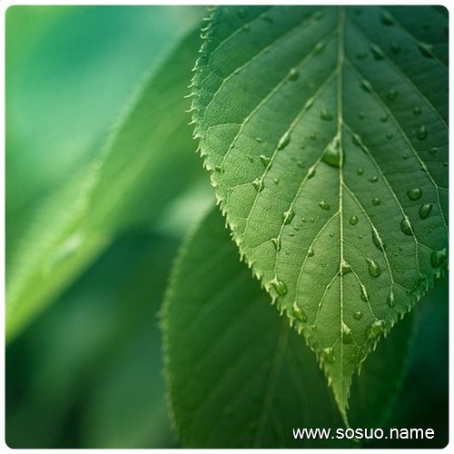�μ��ֱ�������,�����μ��ֱ�������
