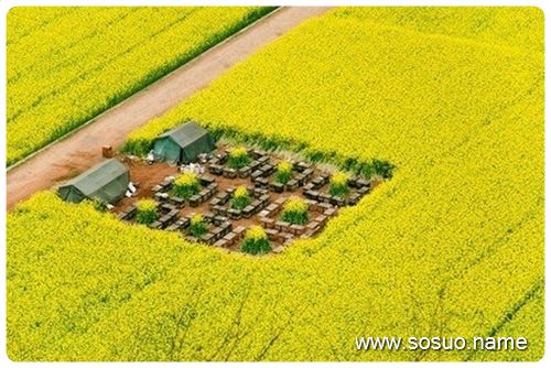 �μ�Ů���ѱ�����ײ��,�����μ�Ů���ѱ�����ײ��