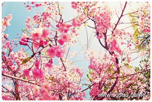 �μ��Լ���Ǯ�����������ѹ�,�����μ��Լ���Ǯ�����������ѹ�
