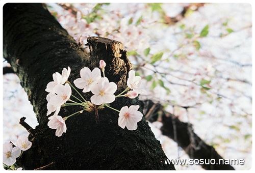 �μ���ŸҪ���ҵ��۾�����,�����μ���ŸҪ���ҵ��۾�����