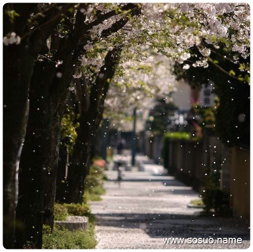 �μ��쵼��ʶ,�����μ��쵼��ʶ