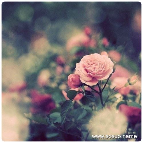 �μ�����һ���ɰ���С�к�,�����μ�����һ���ɰ���С�к�