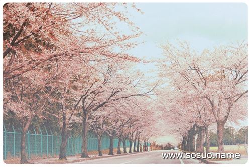 �μ�ս���۲�,�����μ�ս���۲�