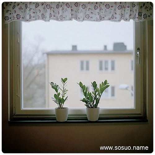 �μ����ֱ۶�,�����μ����ֱ۶�