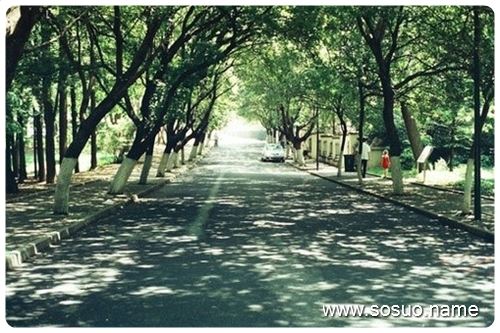 �μ���ڱ�,�����μ���ڱ�