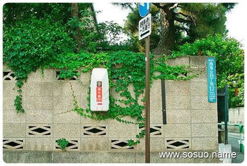 �μ�Ů�Խ���Ҳ���Ⱦ�,�����μ�Ů�Խ���Ҳ���Ⱦ�