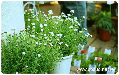 �μ������·�����������,�����μ������·�����������
