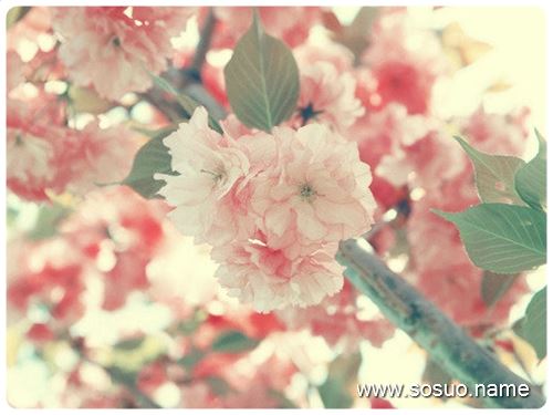 �μ��Ĵ����Ӽ�,�����μ��Ĵ����Ӽ�