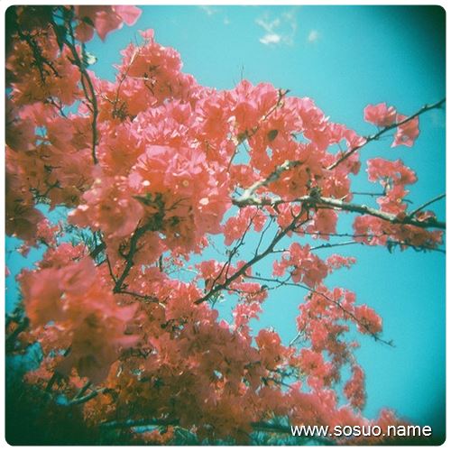 �μ��ͺ����మ,�����μ��ͺ����మ