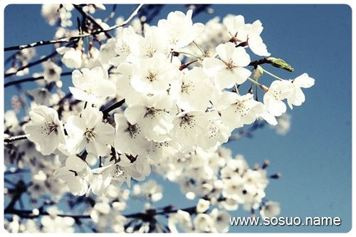 �μ�������Ů�ѳ�ȥ��,�����μ�������Ů�ѳ�ȥ��
