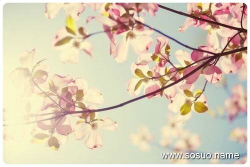 �μ�С��������Ż��,�����μ�С��������Ż��