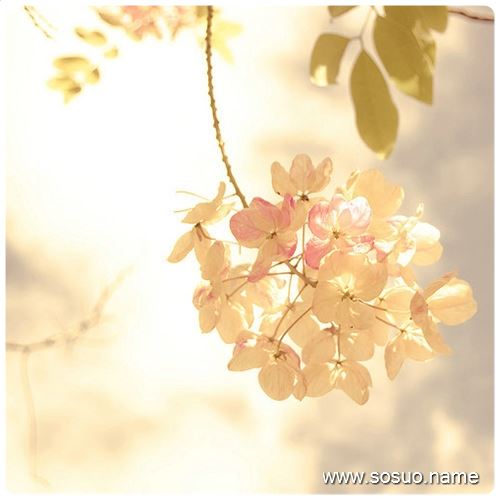 �μ�˼������,�����μ�˼������