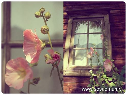 �μ�ɽˮ���,�����μ�ɽˮ���
