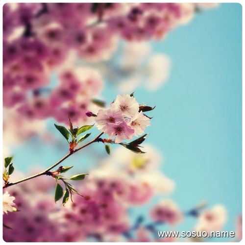 �μ��䳬�����ر��,�����μ��䳬�����ر��