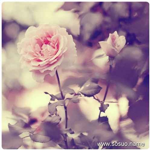 �μ�����Ҫ��������,�����μ�����Ҫ��������