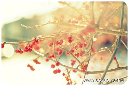 �μ����̼�,�����μ����̼�