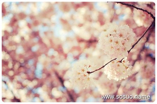�μ�Ů������,�����μ�Ů������
