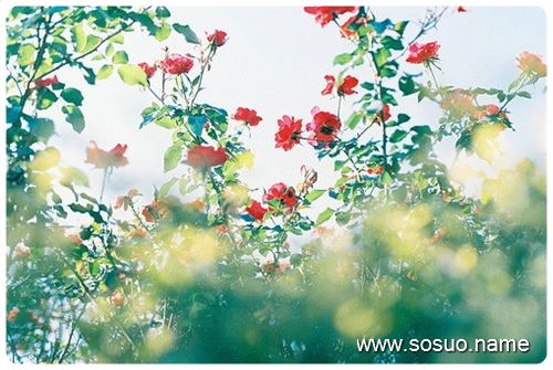 �μ����ٶȻ,�����μ����ٶȻ