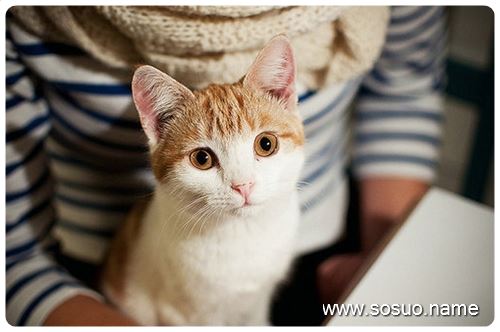 �μ����۾�,�����μ����۾�