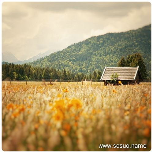 �μ���ҹ����������,�����μ���ҹ����������