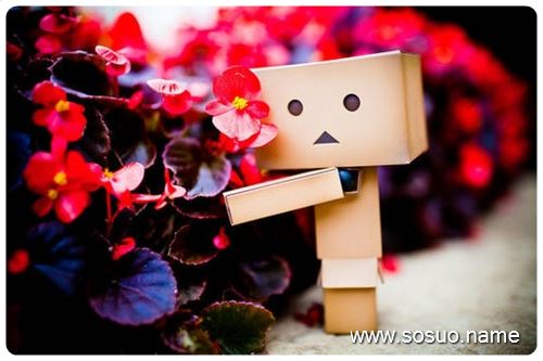 �μ��������󿨳��ؼ�,�����μ��������󿨳��ؼ�