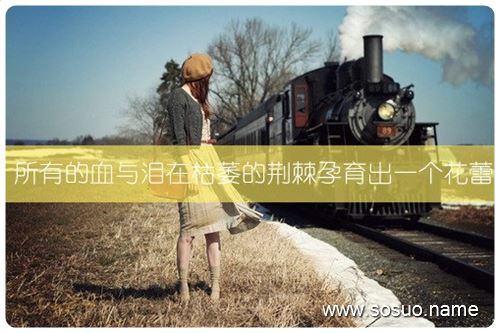 �μ����÷�,�����μ����÷�