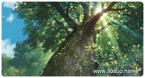 �μ���ץ����,�����μ���ץ����