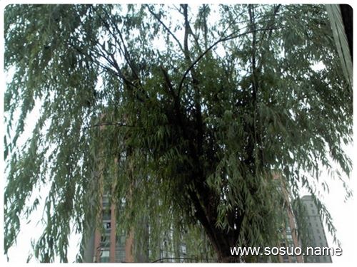 �μ��ҵ����ֱ�û����þͻ���,�����μ��ҵ����ֱ�û����þͻ���