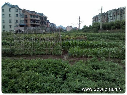 �μ������ڳ����ھ�,�����μ������ڳ����ھ�