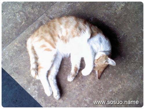 �μ������������ҧ��,�����μ������������ҧ��