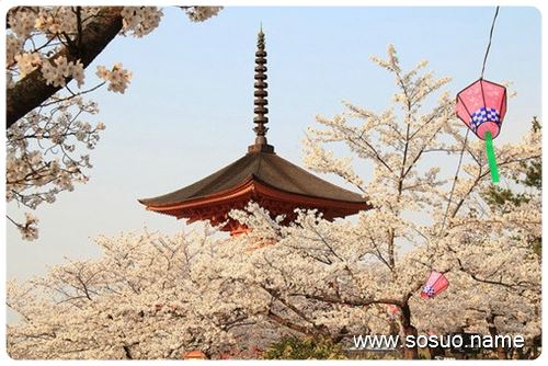 �μ��ܶ෿�䱻�չ�,�����μ��ܶ෿�䱻�չ�