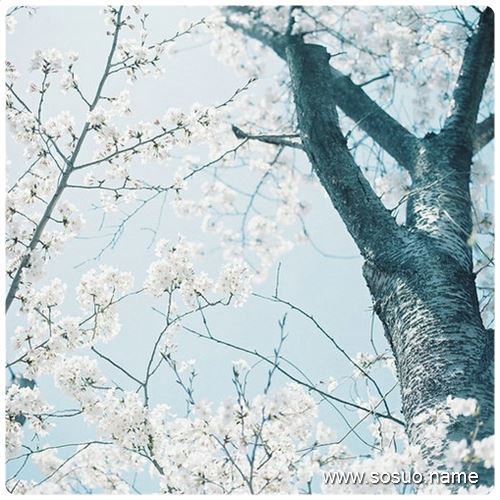 �μ��ո���ո��,�����μ��ո���ո��