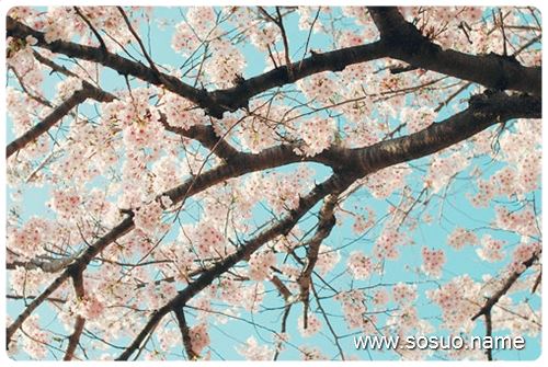 �μ������ǰ��һ������,�����μ������ǰ��һ������