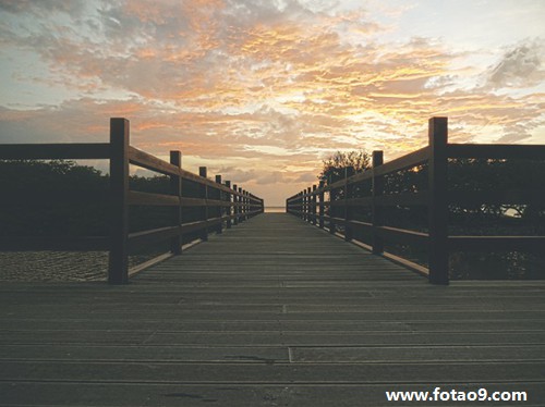 梦见枣红了但是吃着是坏的-周公解梦