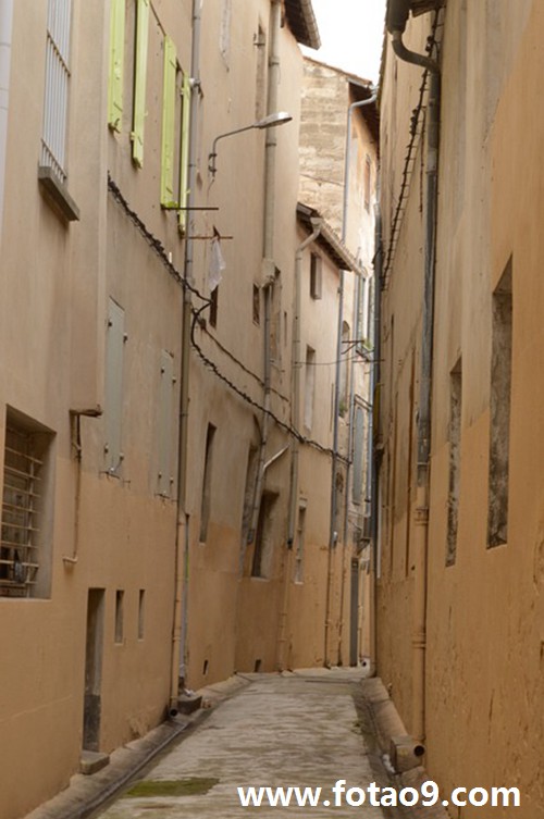 梦见蜘蛛精吃人但却保护我是什么意思?