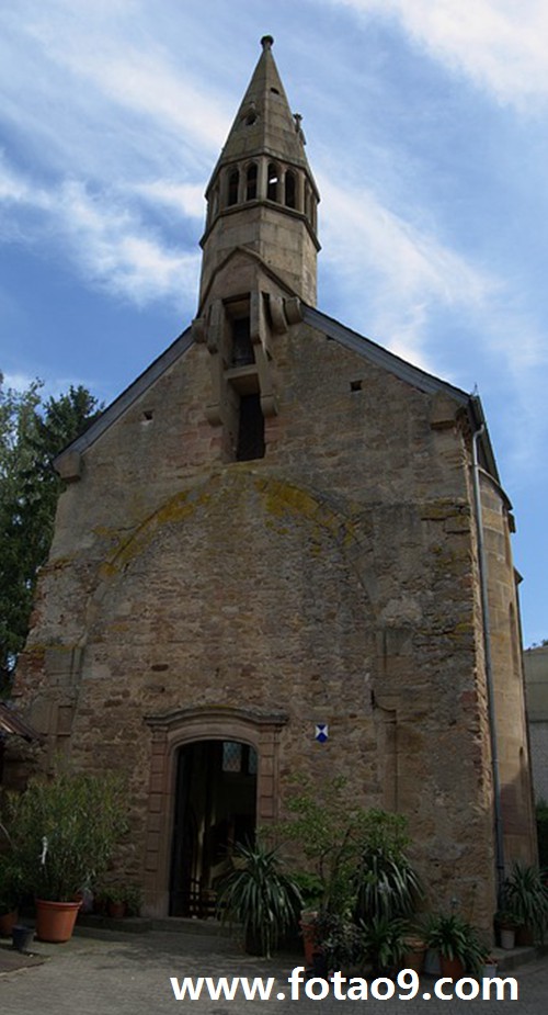 梦见捉住一只白色会说话的鸟代表什么?