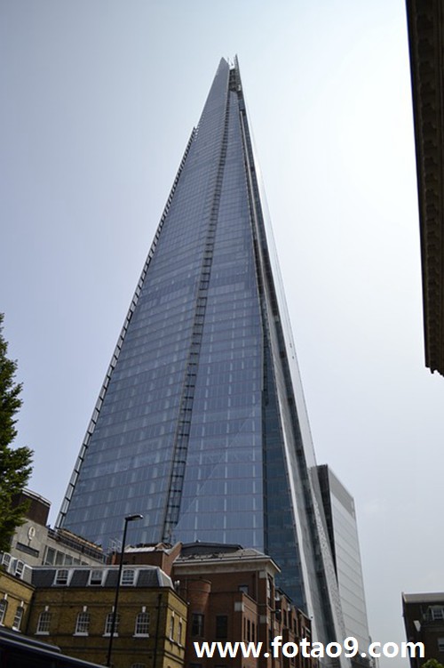 梦见和老婆一起捡地衣是什么意思?