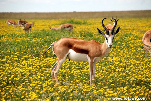 李珂莹的绝密档案