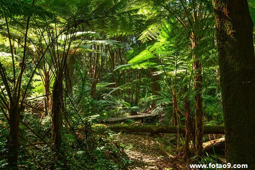 梦见朋友拿带血的小刀杀狼好不好?