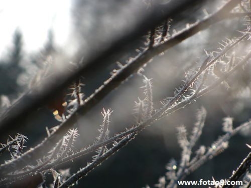 梦见跟陌生人互扔石头是怎么回事?