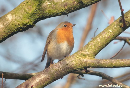梦见给心爱的女人洗阴户是什么意思?