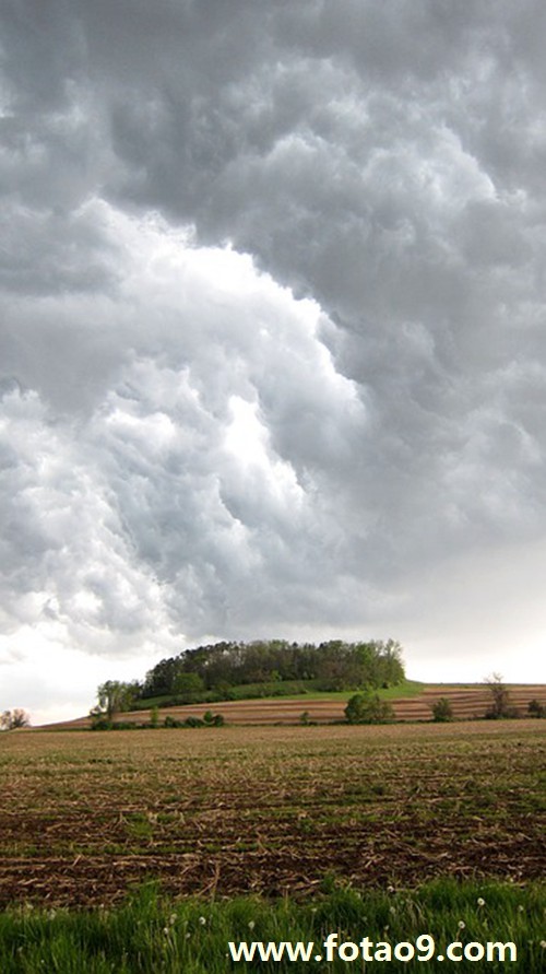 梦见看别人打架其中有人流血是怎么回事?