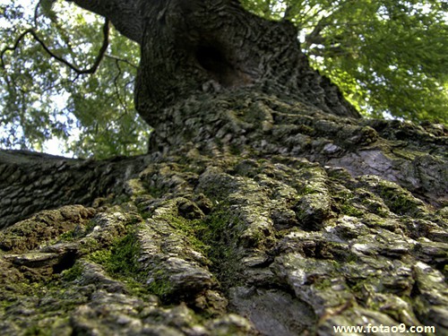 阳历2005年4月20日出生的女的命怎么样?