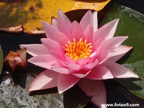 �μ�ȥһ�����ʧ�޵�����,�����μ�ȥһ�����ʧ�޵�����