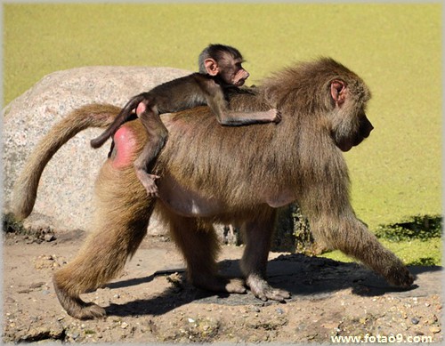 阳历2013年2月22日出生的男的命怎么样?