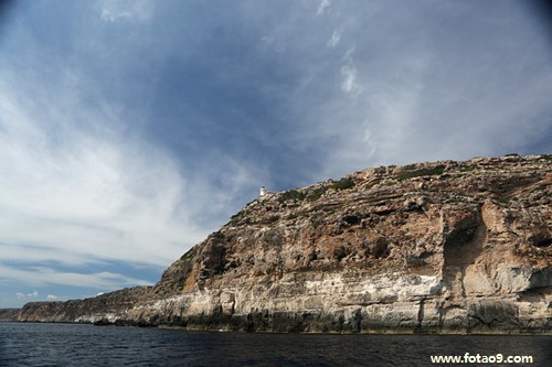 梦见钓到很大的鱼又放生的含义