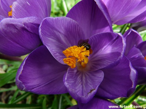 梦见村里面有人死的含义