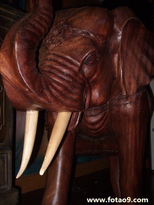 周公解梦查询_佛滔算命网