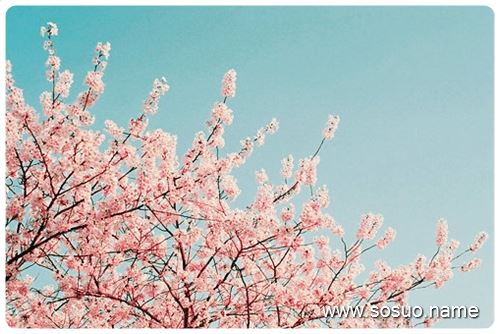 �μ���ͷ������С�к�,�����μ���ͷ������С�к�