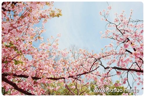 �μ����Ǵ���,�����μ����Ǵ���